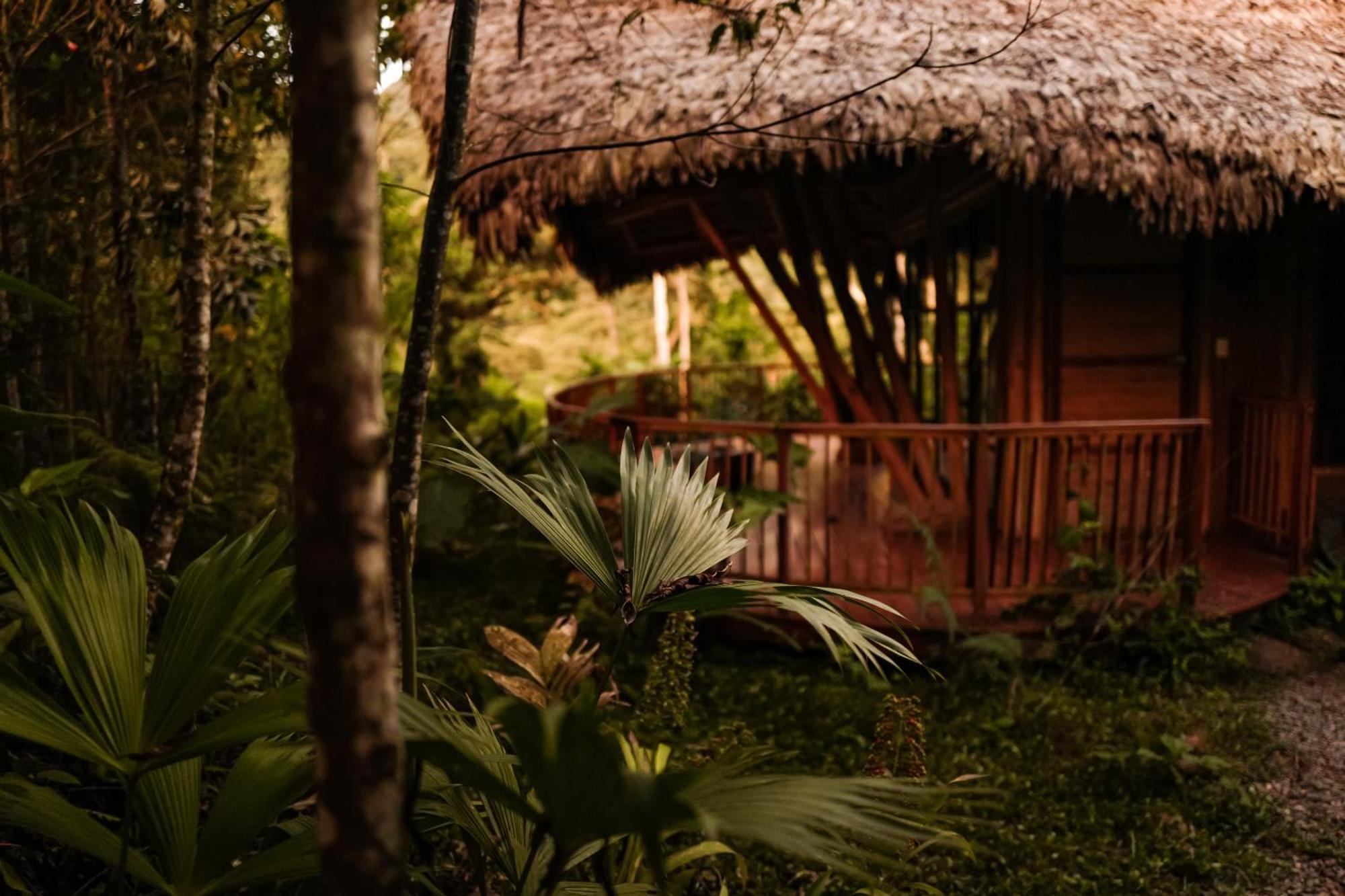 Bosque Guardian Lodge Tarapoto Exterior foto